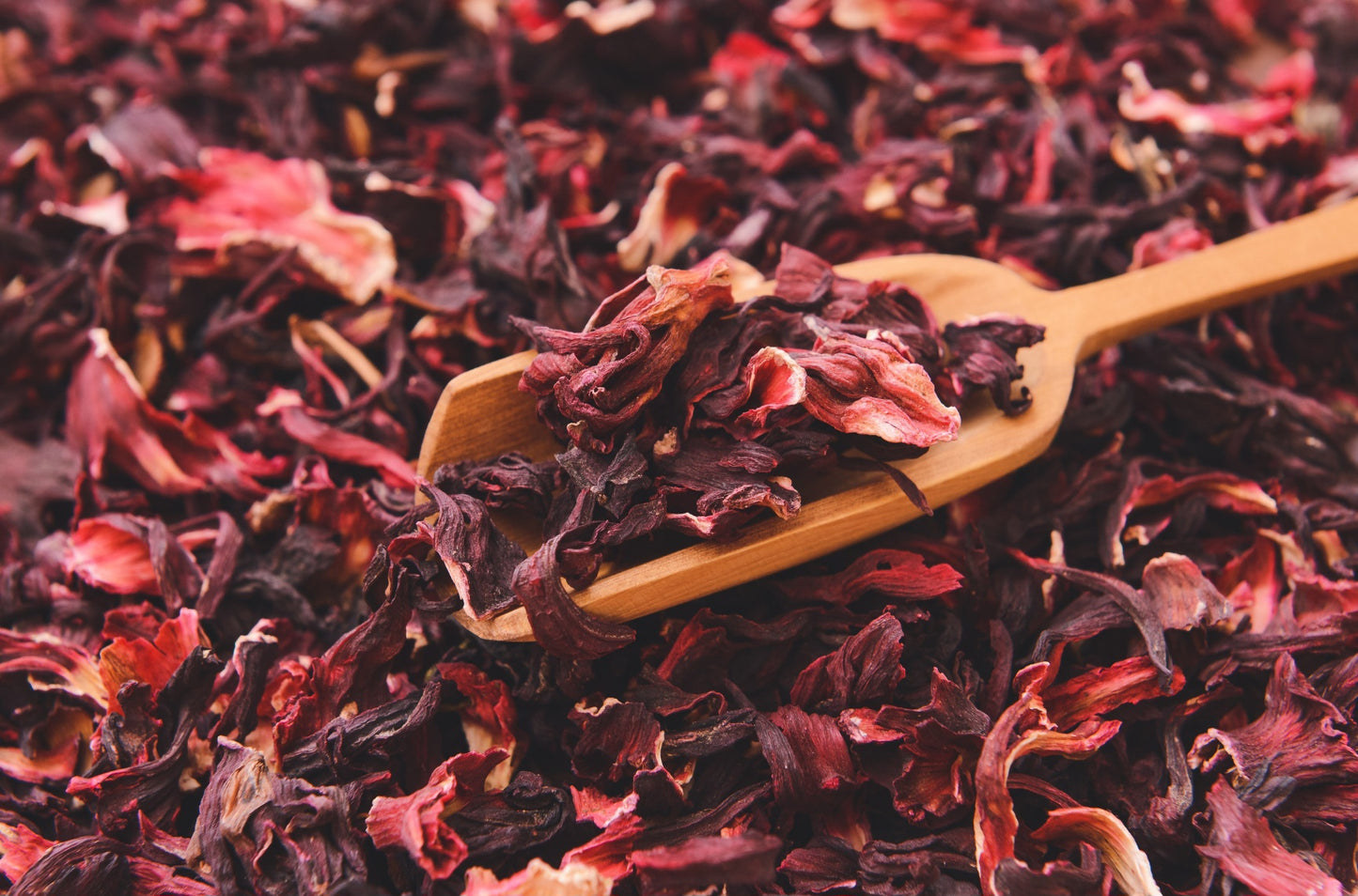 Hibiscus Tajín