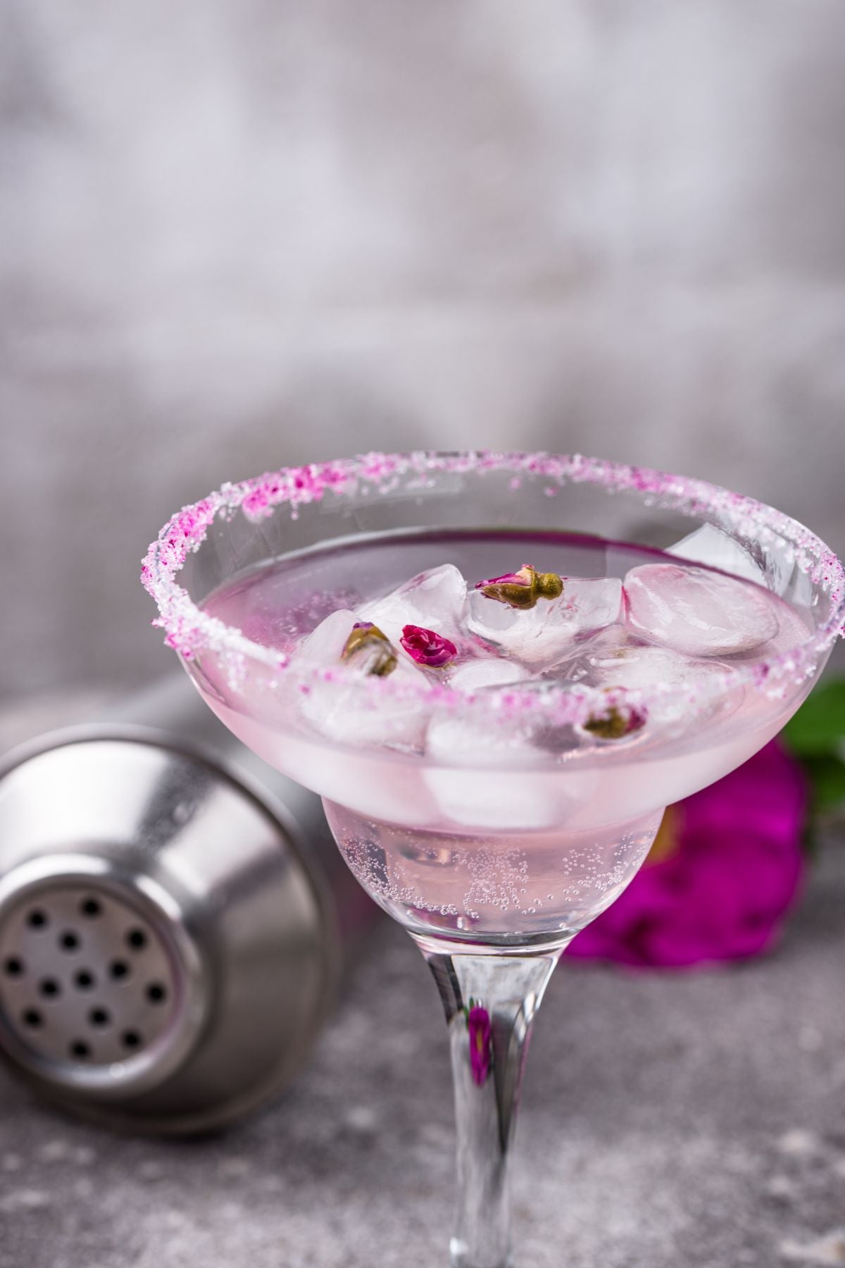 Hibiscus Tajín