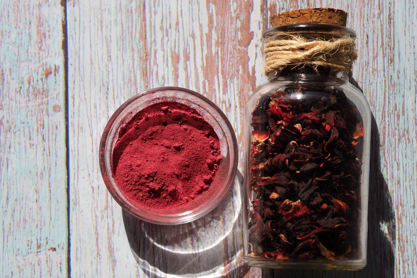 Hibiscus Tajín